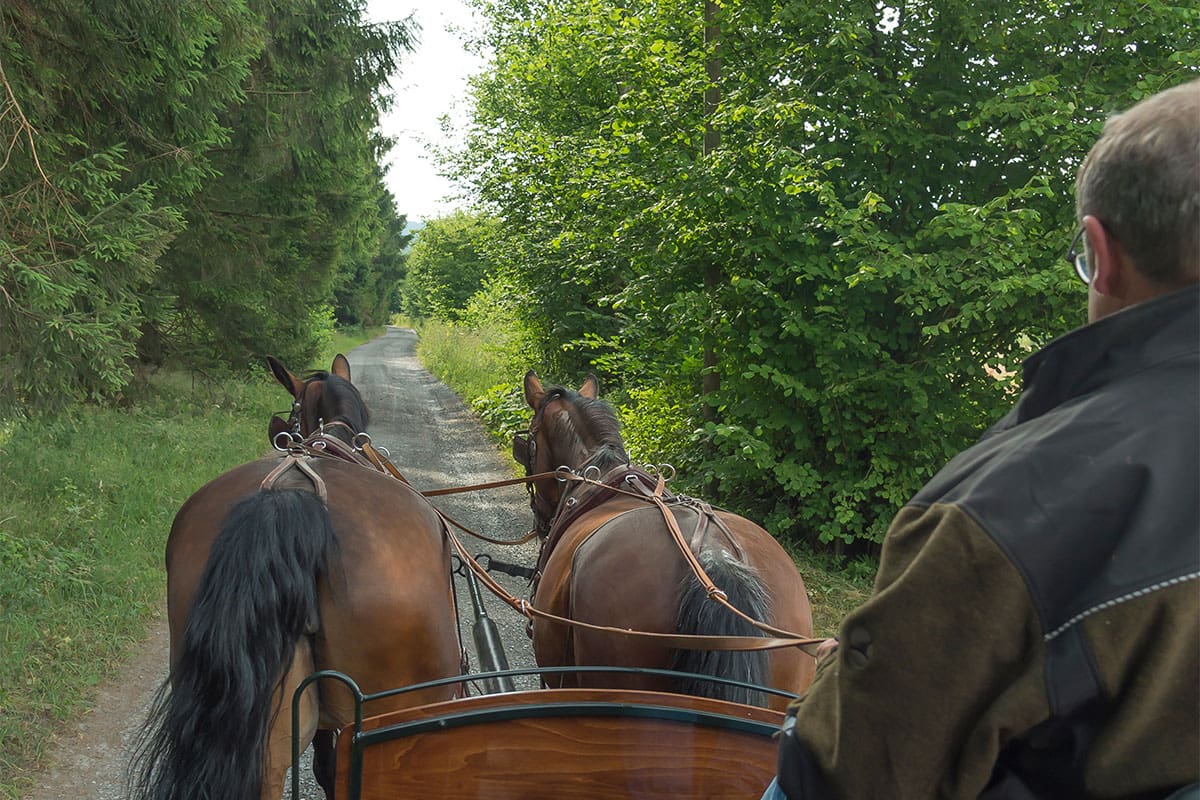 Pferdekutschenfahren im Sommerurlaub in Obertauern