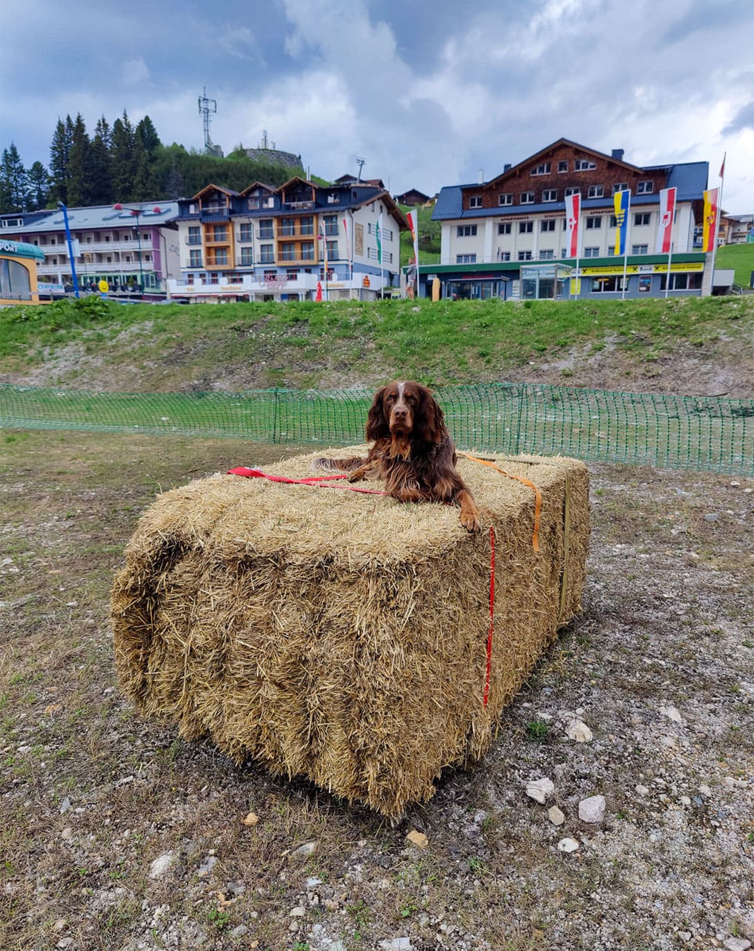 Urlaub mit Hund in Obertauern, Hunde-Hotel